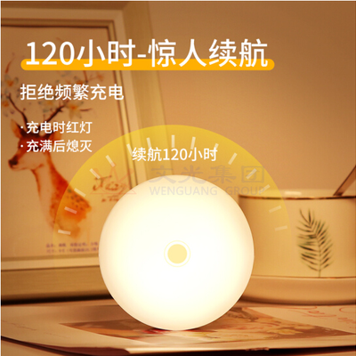 雄立 小夜灯可充电式触摸感应台灯 LED1W